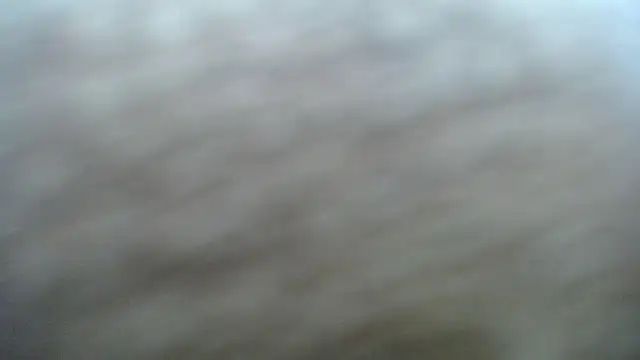 DAPHNE doll online show from 11.06.25