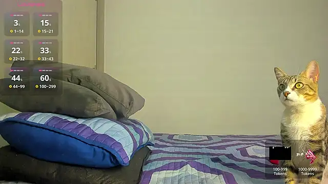 caroline tovar online show from 11.29.25