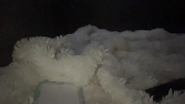 lyna sweet online show from 04.16.26