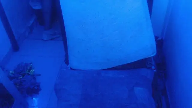 selenax2023 online show from 02.02.26