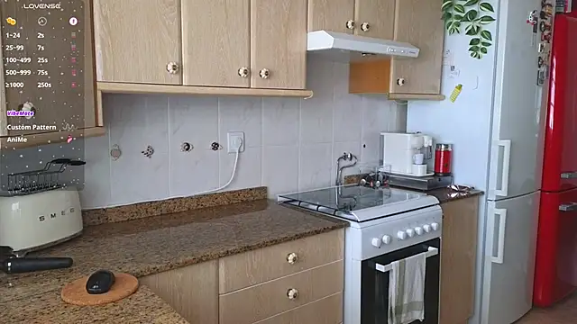 Snapshot of Lunamix chatting on 03.08.25 Lunamix online show from 03.08.25