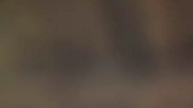 leccaleccafiga online show from 03.10.26