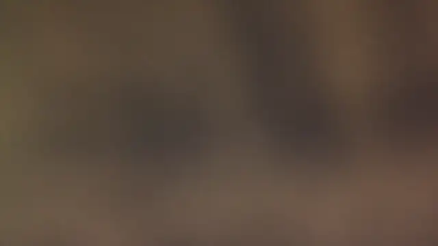 leccaleccafiga online show from 03.12.26