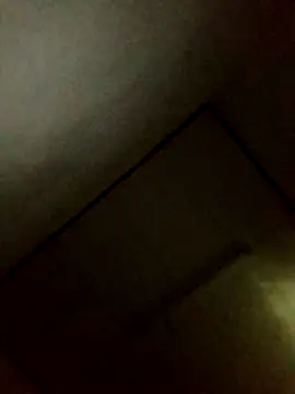 Snapshot of Annerae chatting on 11.04.25 Annerae online show from 11.04.25