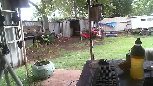 herbie010666 online show from 12.23.25