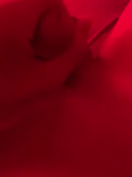 Snapshot of xsanchx chatting on 03.21.25 xsanchx online show from 03.21.25