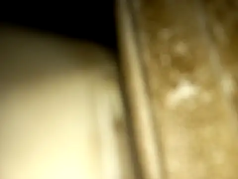 jonjob44 online show from 12.14.25