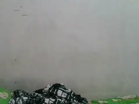 Snapshot of simplewild_mom chatting on 09.18.25 simplewild mom online show from 09.18.25