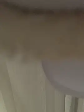 Snapshot of GHsveter chatting on 03.31.26 GHsveter online show from 03.31.26