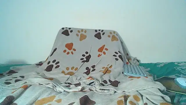 maihton xx online show from 02.03.26