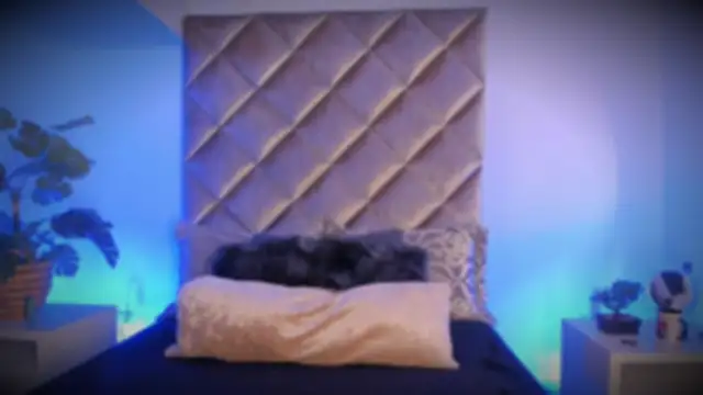 malaia hills online show from 11.10.25