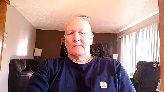 BasicAnt online show from 02.11.26