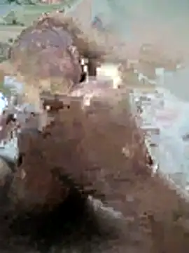 naghmi12 online show from 11.11.25