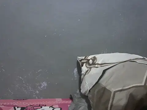 Forsia online show from 03.25.26