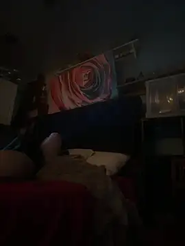 Snapshot of AshtonChicken chatting on 02.20.26 AshtonChicken online show from 02.20.26