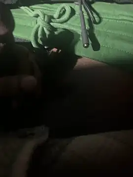 dingoding online show from 01.11.25