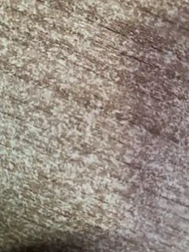 gokhanbey34 online show from 10.08.25