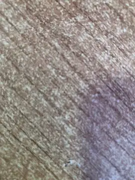 gokhanbey34 online show from 10.26.25