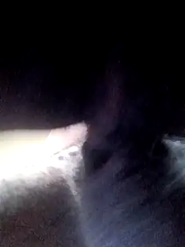 yellowwetfox online show from 03.21.26