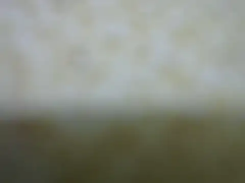 Snapshot of castistee chatting on 10.26.25 castistee online show from 10.26.25