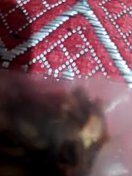 Snapshot of XBHUUME chatting on 02.01.25 XBHUUME online show from 02.01.25