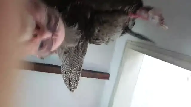 CDforU online show from 02.04.26