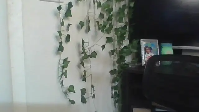 Snapshot of Goddesspandora chatting on 01.30.25 Goddesspandora online show from 01.30.25