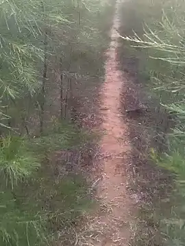 Gopal1243 online show from 02.17.25