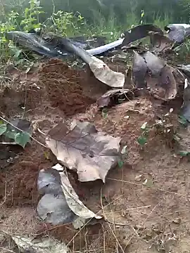 Gopal1243 online show from 02.20.25