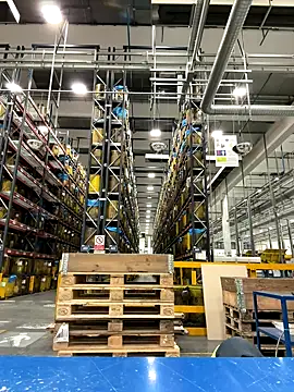 danicohoney online show from 10.10.25