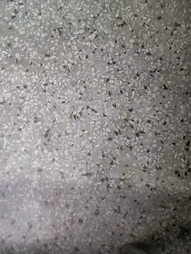 Rajibsorkar20 online show from 01.16.25