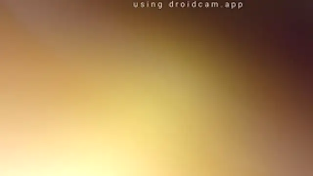 35turkish350 online show from 04.02.26