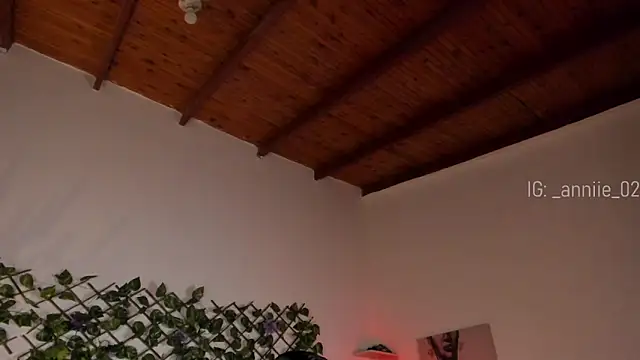 annie barozzi online show from 01.21.25