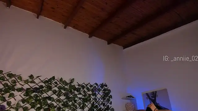 annie barozzi online show from 01.24.25