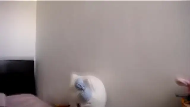 MARIANADIRTY online show from 11.11.25