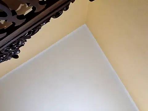 White rabbit  online show from 10.29.25