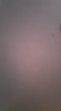 Maxmusterman20023 online show from 01.18.25