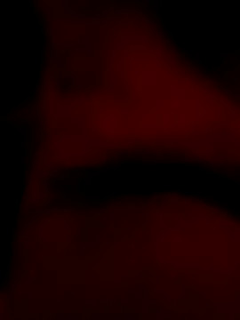 roccosif696 online show from 01.25.25