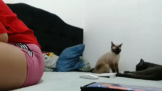 Snapshot of Emmily_Fox chatting on 12.02.24 Emmily Fox online show from 12.02.24