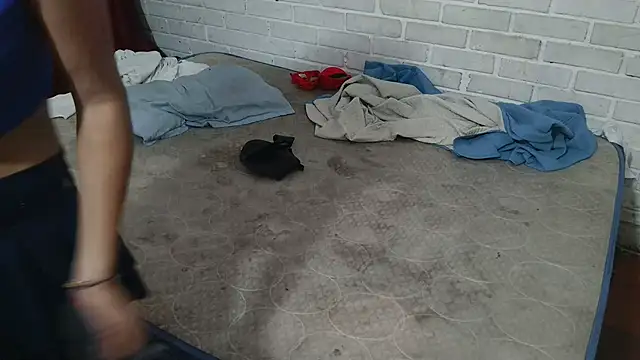 Snapshot of valeriaswang_Lucas chatting on 11.25.25 valeriaswang Lucas online show from 11.25.25