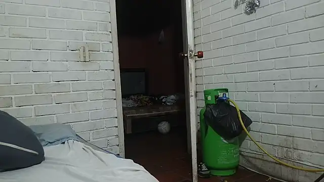 Snapshot of valeriaswang_Lucas chatting on 11.27.25 valeriaswang Lucas online show from 11.27.25