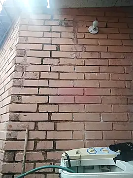 Snapshot of valeriaswang_Lucas chatting on 12.04.25 valeriaswang Lucas online show from 12.04.25