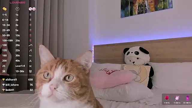 Lenstardi online show from 02.15.25