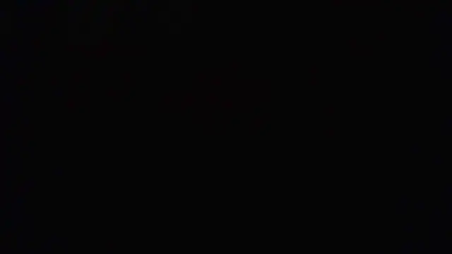 mrdago2 online show from 12.13.25