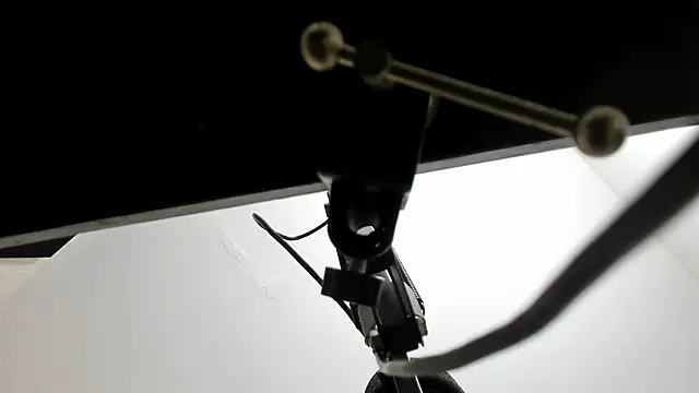 sarita loven online show from 02.20.26