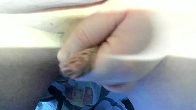 Big Andiy online show from 12.19.25