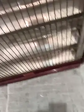 mustican422 online show from 10.25.25