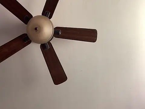 QueenNuttCollector online show from 04.29.26