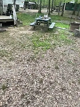 Themechanic420 online show from 04.04.26