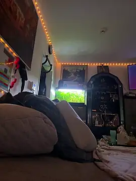 Toyjungee online show from 02.03.26